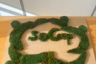 Atelier Fresque Végétale MadCityZen : allier création, bien-être et cohésion d’équipe. | © MadCityZen